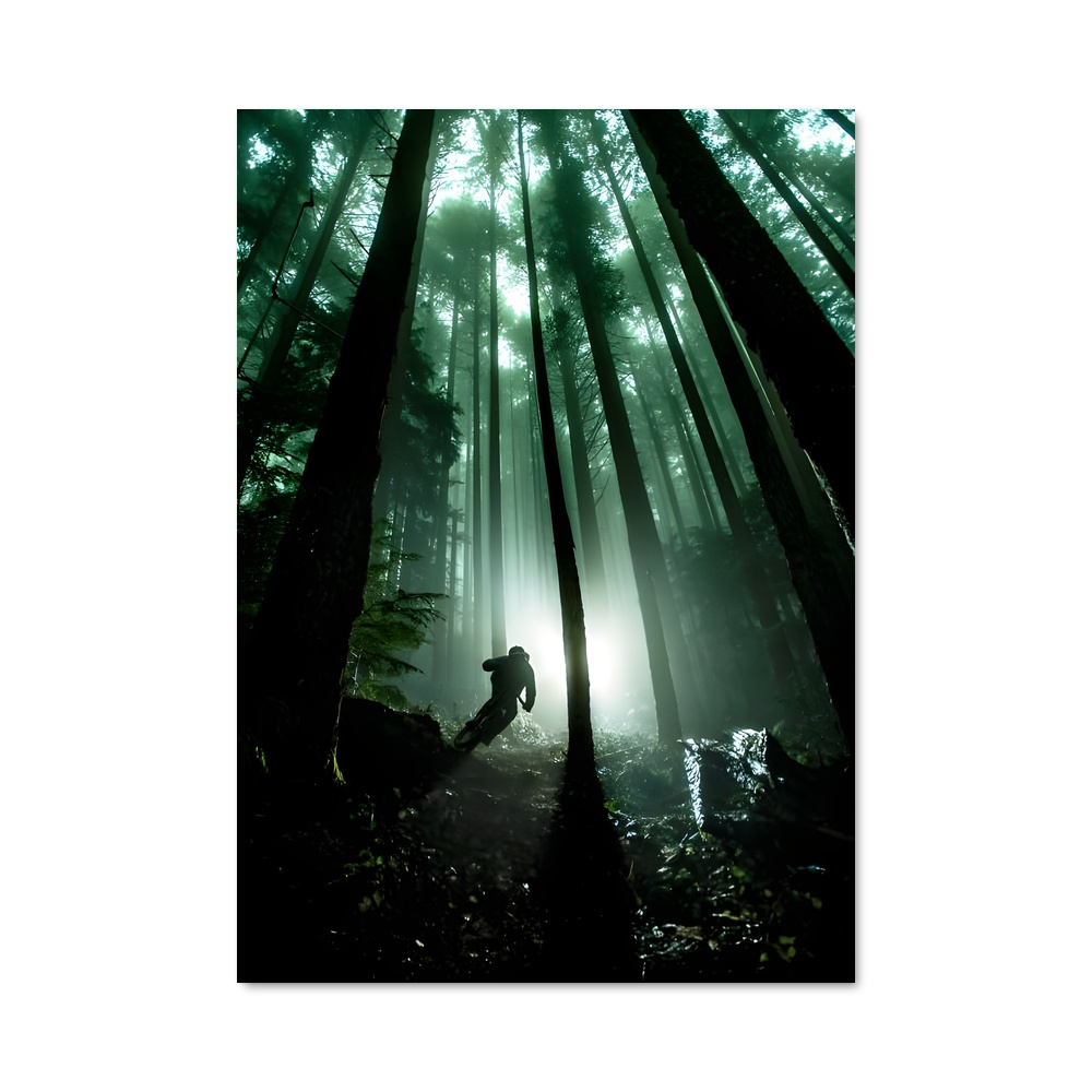 Poster Brandon semenuk sources